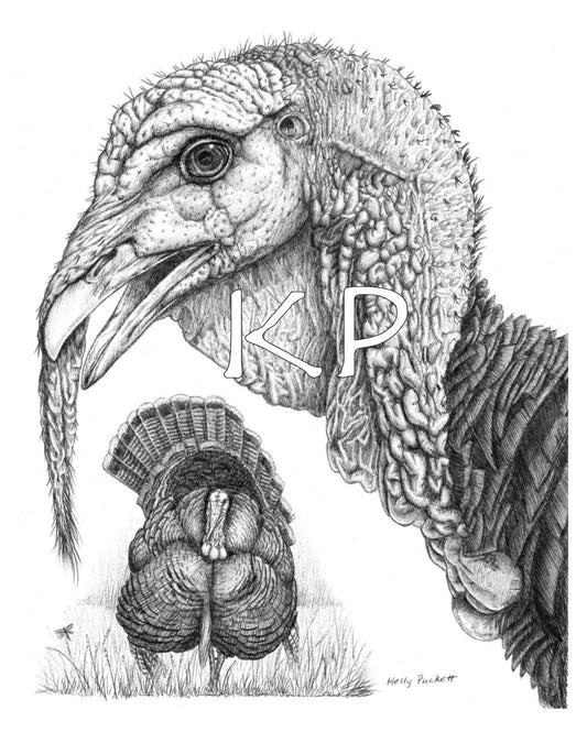 turkey art print